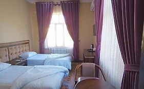 B&B Registan Golden Camel